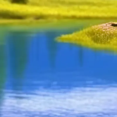 chat with ai character: Gender guesser