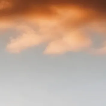 chat with ai character: Mha: Aquarium trip