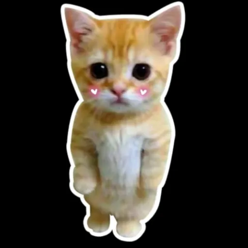 creator sunflower🌻 seeds's avatar