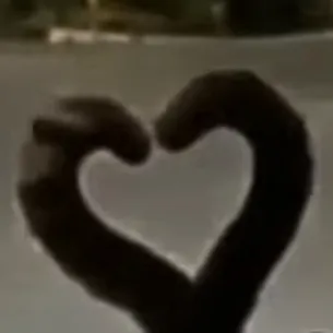 creator Sophie_mysli_witz's avatar