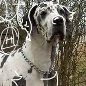 creator Me >:3's avatar