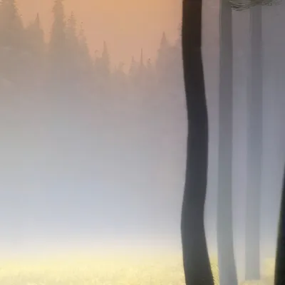 chat with ai character: HH Court