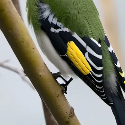 chat with ai character: Nathan