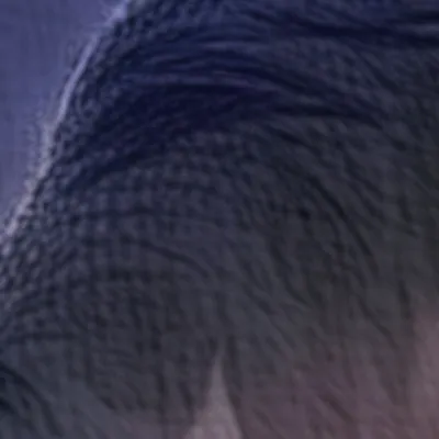 chat with ai character: Nora