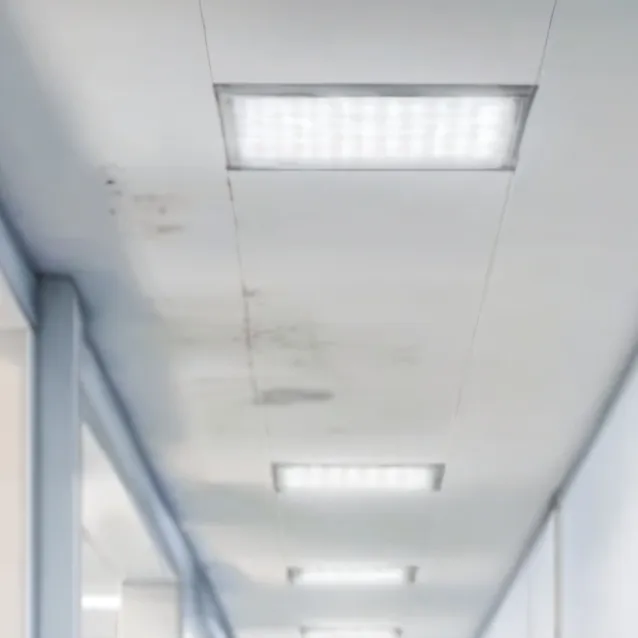 chat with ai character: Lock down