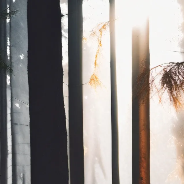 chat with ai character: Patrick Hockstettr