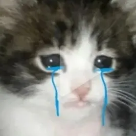 creator ★Xianඞ★'s avatar