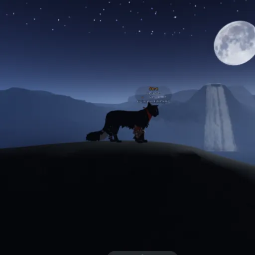 creator Sky angela's avatar