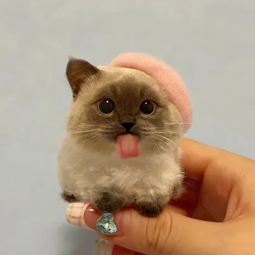 creator 💀Creator💀's avatar