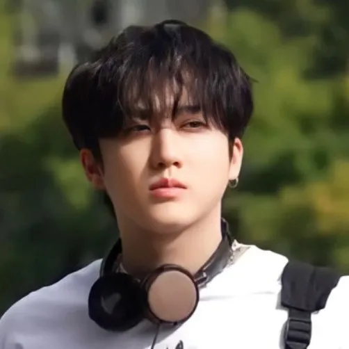 chat with ai character: ✦ ∙ Changbin ∙ ✦