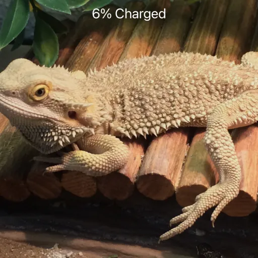 creator Carson2011's avatar