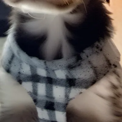 chat with ai character: Sammy