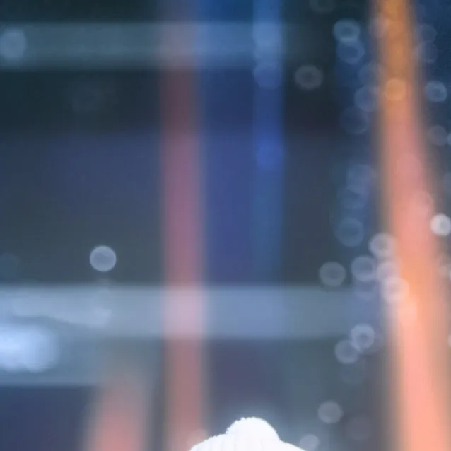 chat with ai character: Shirley