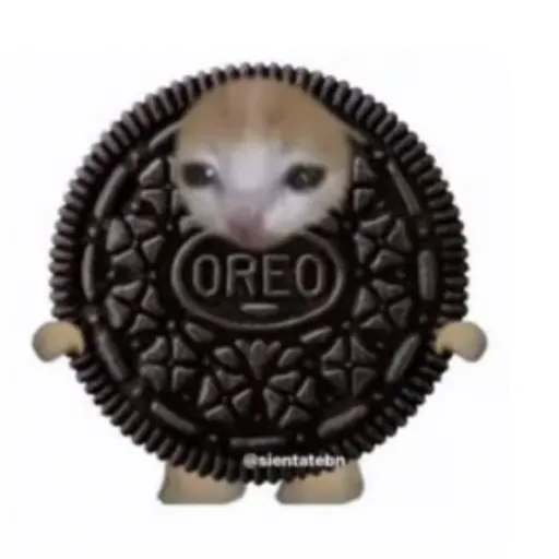 creator Talkior-4ooxiZZm's avatar