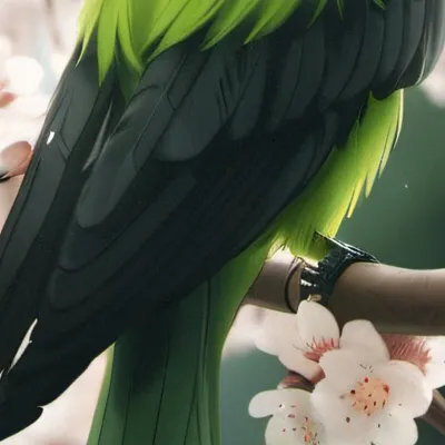 chat with ai character: Duolingo