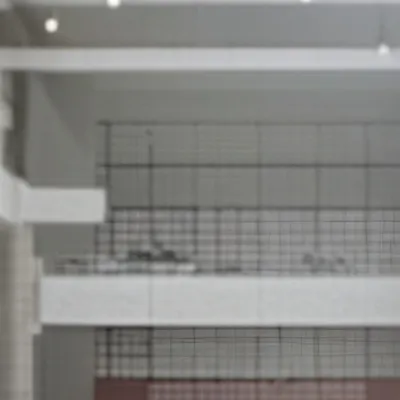 chat with ai character: High school 