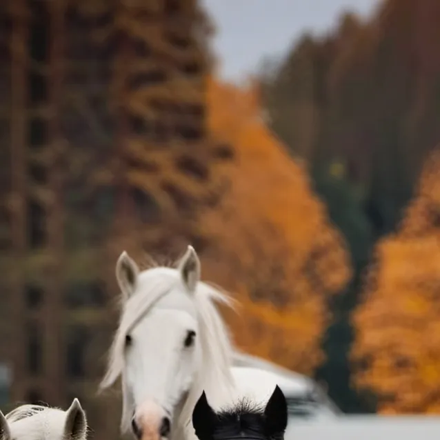 chat with ai character: Domestic Herd