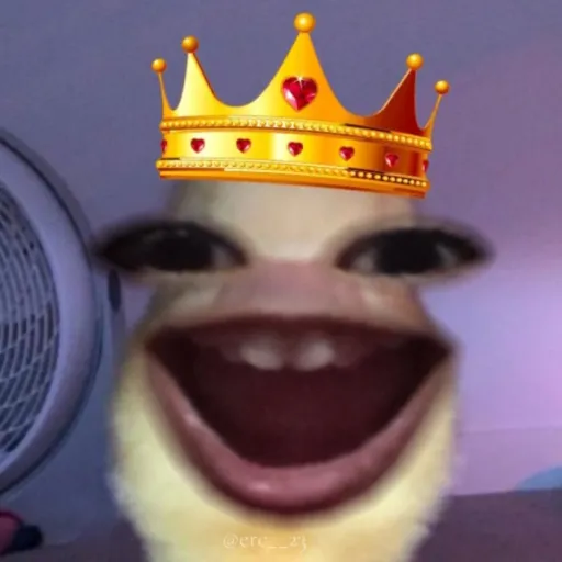 creator ☆)'s avatar