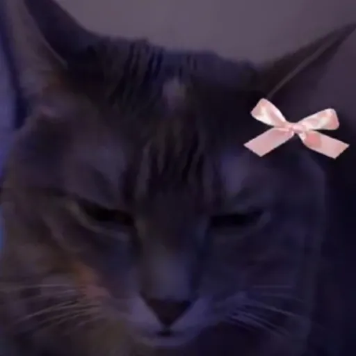 creator LavenderHerring's avatar