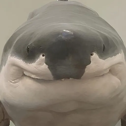 creator Talkior-Ip4FCjkj's avatar