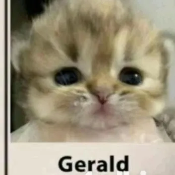 creator 🐈😸Gerald the cat😸🐈's avatar