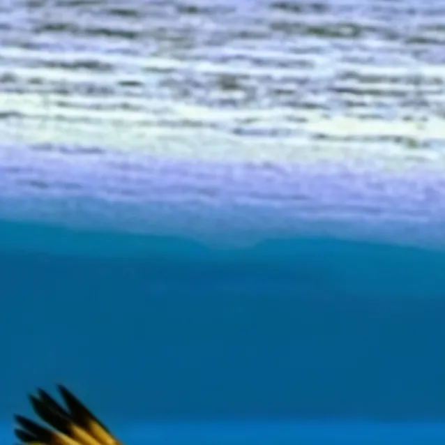 chat with ai character: demon Slayer ig