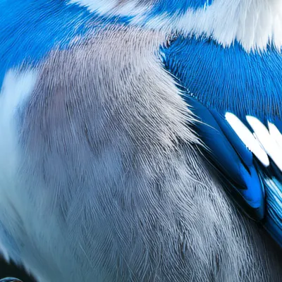 chat with ai character: Kevin