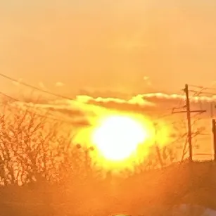 creator 🍮🌻🌼Kari🌼🌻's avatar