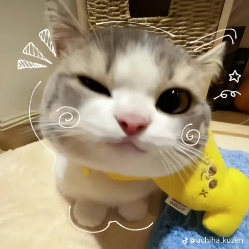 creator 🔥🐾kitten 🐾🔥's avatar