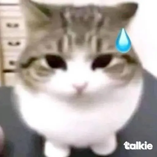 creator Lucy?'s avatar