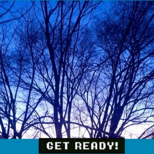 creator Mr. Dallest's avatar