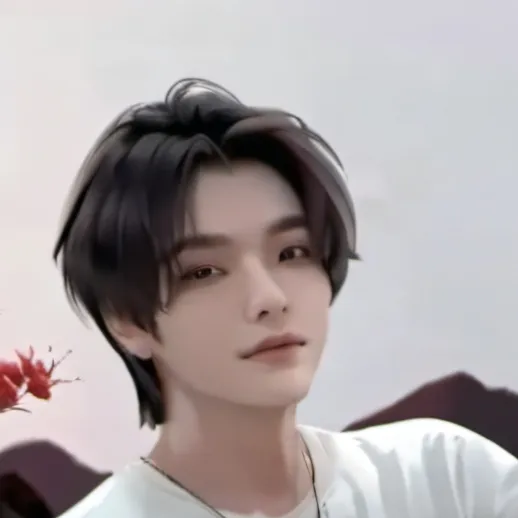 chat with ai character: Enhypen