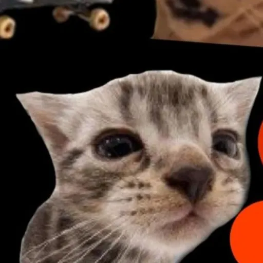 creator the only Liam's avatar