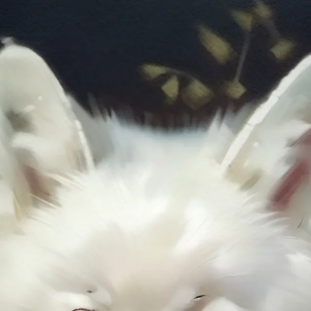 chat with ai character: idk