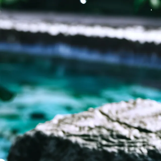 chat with ai character: English or Spanish