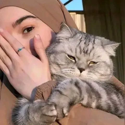 creator Radwa.'s avatar