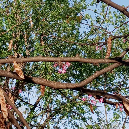 creator talkiorih4zpylq's avatar