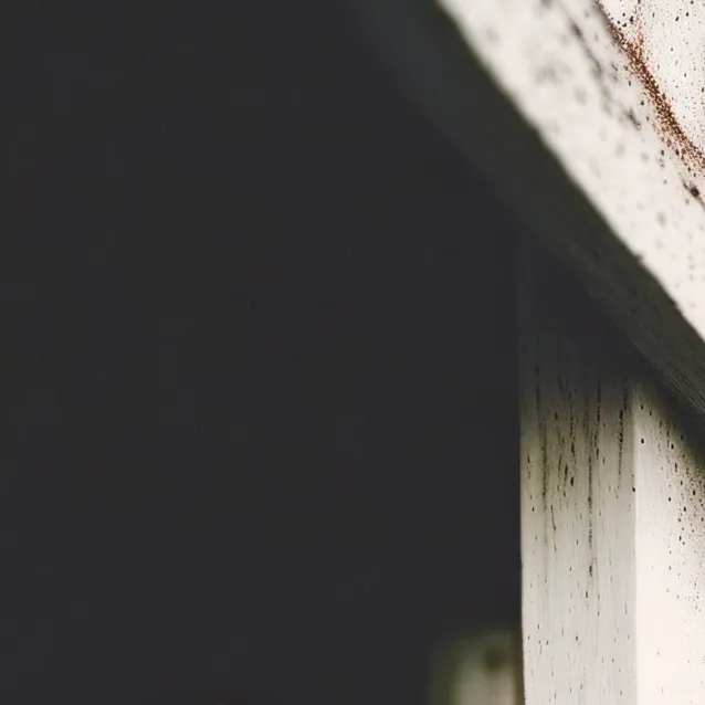 chat with ai character: yan