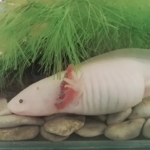 creator U-wcusks31's avatar