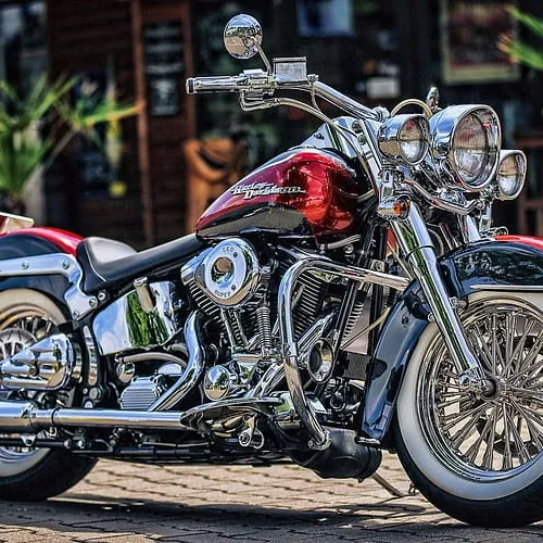 creator The Loyalist 1101's avatar