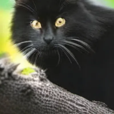 chat with ai character: Henry