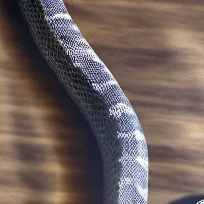 chat with ai character: Sylvia