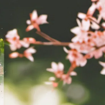 chat with ai character: Tom