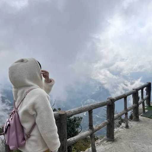 creator Chen Lily's avatar