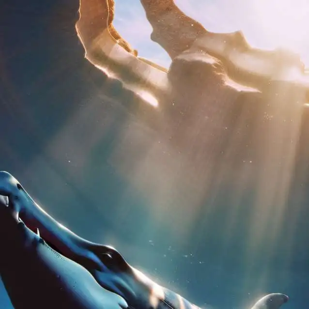 chat with ai character: Alliorca