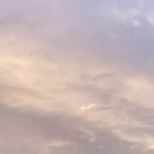 creator • J!nx •'s avatar