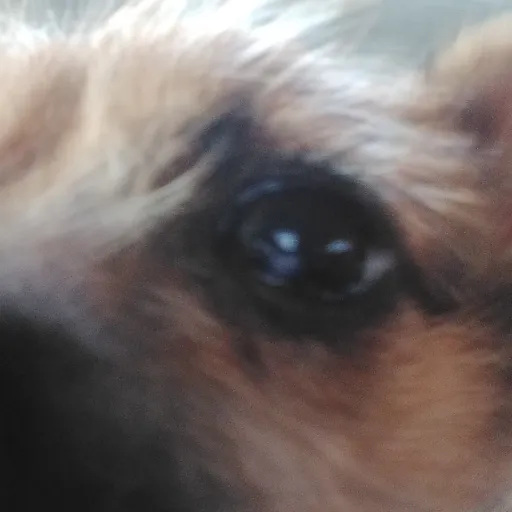 creator Talkior-dQ3HDUNx's avatar