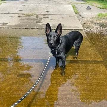 creator Obx_storysss's avatar