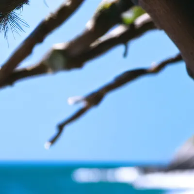 chat with ai character: Obx