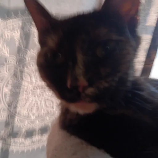 creator aydengraham's avatar